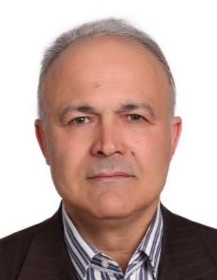 Dr Hassan S. Ghaziaskar